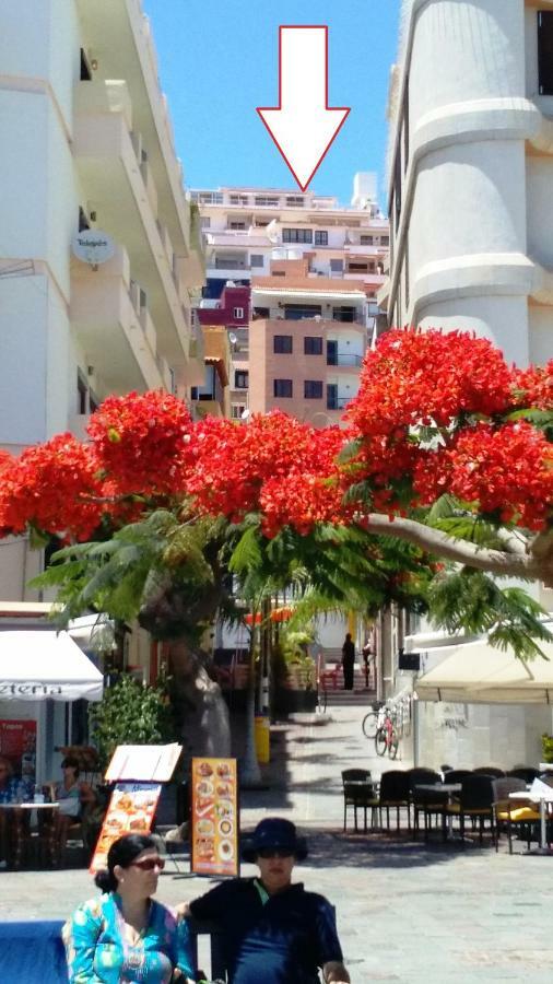 Ocean View Cactus I , Over Los Cristianos, Playa Las Vistas Лос Кристианос Экстерьер фото
